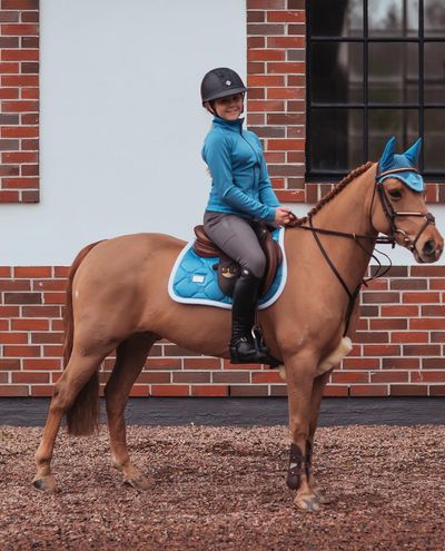 Parisian Blue Dressage (Cob)