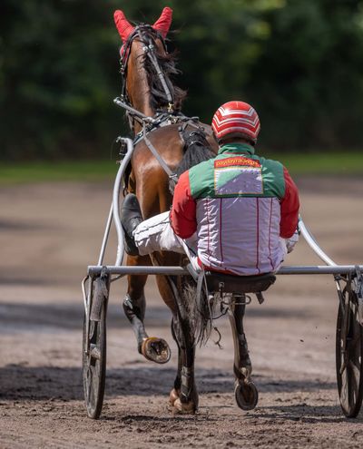 Ravirata stagionale 2024
