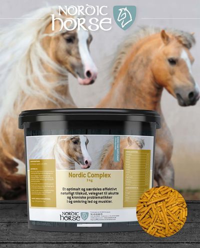 Complesso (1 kg al giorno) Nordic