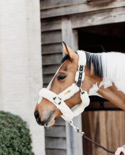 Sheepskin Shipping Halter White/Black