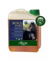 Muscle Energy Boost (prodotto giornaliero da 2,5 l)