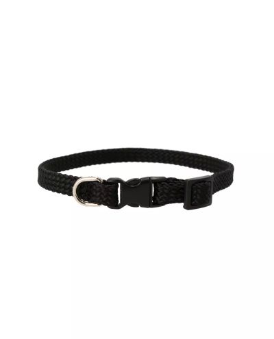 Puppy Collar Alac
