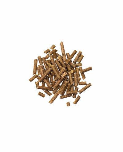 Bierhefe Pur (3kg RF) Agrobs