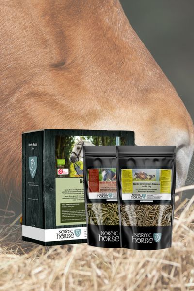 Pacchetto primavera Nordic Horse più grande