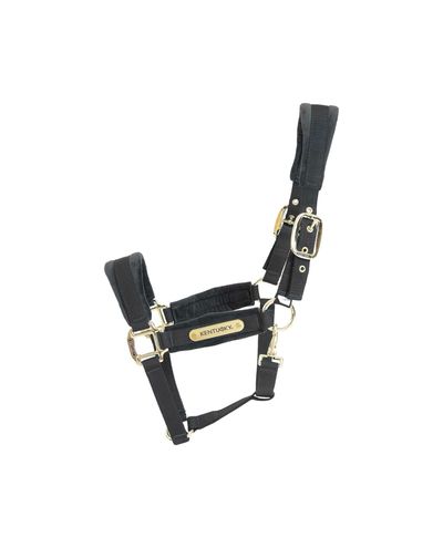 Scivolo in velluto nero